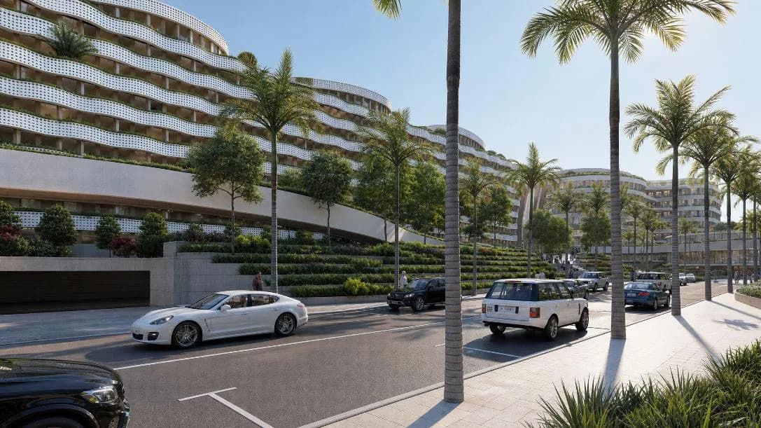Streetscape, palm-lined boulevard