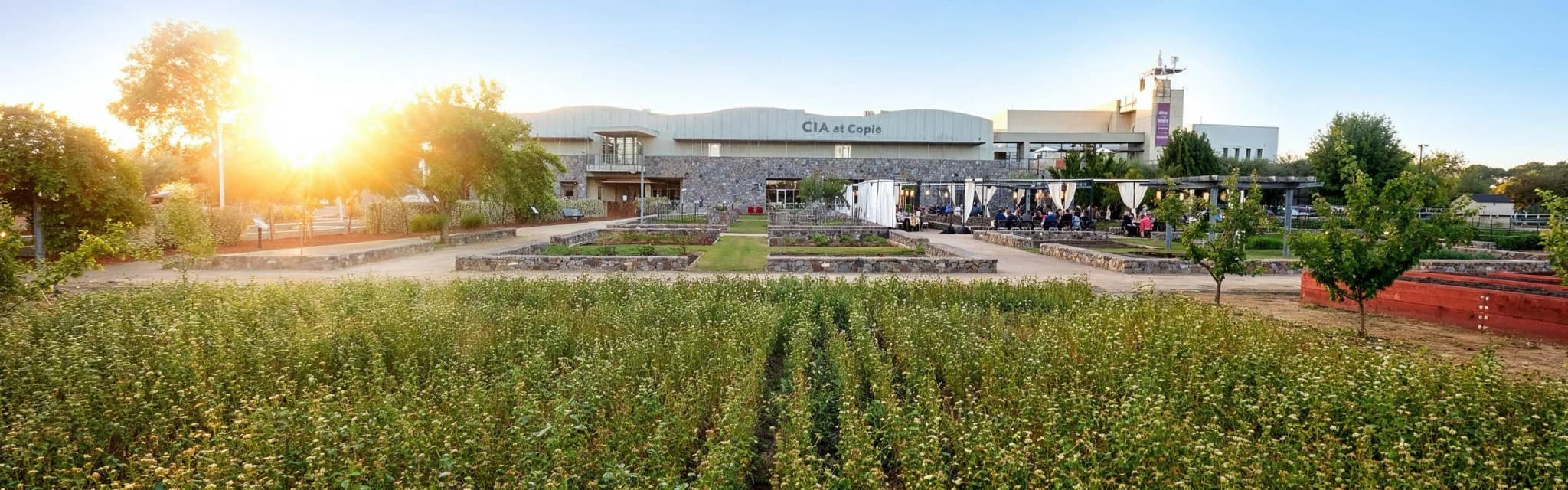 Napa Valley — Culinary Institute of America campus
